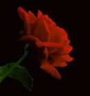 Picture for song 'Grandma's Legacy' by artist 'SharonMark'