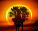 Picture for song 'ArabIan' by artist 'Sheldic Productions'