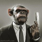 Picture for song 'Start From Scratch' by artist 'Shiftyproduction'