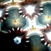 Picture for song 'round chAos' by artist 'shigeya'