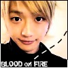Picture for song 'BLOOD on FIRE' by artist 'Shuffle Boy'