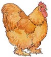 Picture for song 'Vind ie vet yooo!' by artist 'Sickboy zwiebel'