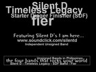 Picture for song 'I am here (DEMO)' by artist 'Silent D'