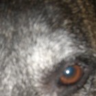 Picture for song 'Broken Beats (sample)' by artist 'SjCongo'