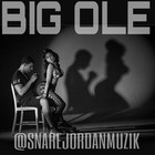 Picture for song '***NEW*** Big Ole (Monkey) 06-02-15' by artist 'Snare Jordan'