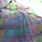 Picture for song 'Widow Maker acoustic version' by artist 'Soddy Bottoms'