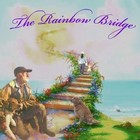 Picture for song 'Please Don't Go' by artist 'Soggydawgs'