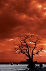 Picture for song 'Eden' by artist 'Sorceress Maiden'