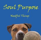 Picture for song 'I Need Your Love' by artist 'Soul Purpose USA'