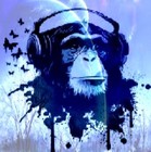 Picture for song '(|)-:Rhythm Monkey:-(|)' by artist 'SoundworldA.D.'