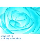 Picture for song 'All My Circuits' by artist 'Soylent B'