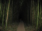 Picture for song 'Many Wayz (SpaceAged)' by artist 'SpaceAged'