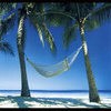Picture for song 'KICK BACK RELAX (FOR SALE!)' by artist 'SPARKZ MENTALZ'