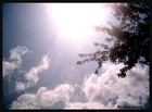 Picture for song 'If Only' by artist 'Spartanis'