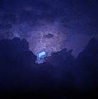 Picture for song 'Blue Night' by artist 'Speak Words Speak'