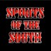 Picture for song 'Spirits of the South-Troubles' by artist 'Spirits of the South'
