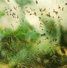 Picture for song 'March 2007 Quartet' by artist 'Spool Ensemble'