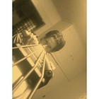 Picture for song 'Soar' by artist 'Sprye'