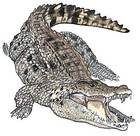 Picture for song 'Louisiana Bayou' by artist 'Stamps Brothers'