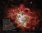 Picture for song 'A Dream and a Hope' by artist 'Star of the North'