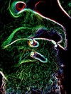 Picture for song 'Cross My Name From Your Lips (For Good)' by artist 'States Of The Mind'