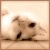 Picture for song 'Hello 2 U I Bind You Hello' by artist 'Subgrounder'