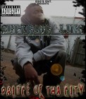 Picture for song '4 A State Feat. Young-P' by artist 'Superior-Linc'
