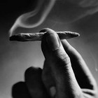 Picture for song 'Light Anotha Dutch' by artist 'SUPER NOVAJ BEATS'