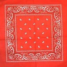 Picture for song 'It's Going Down Freestyle' by artist 'SwiF-n-AWOL'