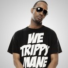 Picture for song '"Trippin" Juicy J x Tyga Type Beat' by artist 'Swish T'