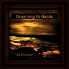 Picture for song 'Dreaming in Gaelic' by artist 'Tad Winklarz'