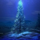 Picture for song 'DECEMBER SNOW' by artist 'tamsnumber4'
