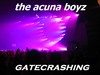 Picture for song 'Maddison Park(acuna boyz devotion mix)' by artist 'the acuna boyz'