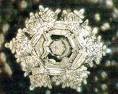 Picture for song 'WATER CRYSTAL' by artist 'THE ADAMS APPLE'