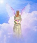 Picture for song 'Love, i Can Renew' by artist 'The Al Love Experience'