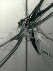 Picture for song 'Atmosphere' by artist 'The Ambient Society'