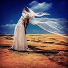 Picture for song 'Sensation | Architekz.com' by artist 'The Architekz'