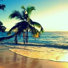 Picture for song 'Summer Time | Architekz.com' by artist 'The Architekz'