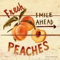 Picture for song 'Peach Orchard Mama' by artist 'The cerulean factor'