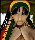 Picture for song 'Ranco Reggae' by artist 'The Grey Silkie'