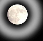 Picture for song 'AS THE MOON SHINES DOWN ON ME' by artist 'The Hippie Flowers'