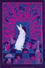 Picture for song 'follow the white rabbit' by artist 'The Hunchback'