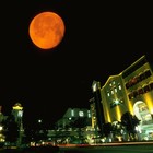 Picture for song 'Unheeded Moons' by artist 'The Markdanyells'