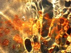 Picture for song 'Rust' by artist 'The Navigation'