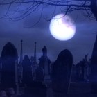 Picture for song 'Silent Night' by artist 'The NULLL Collective'