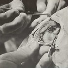 Picture for song 'Trust Strangers' by artist 'The Pubes'