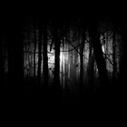 Picture for song '3am In The Woods' by artist 'THEREALJacobJames'