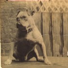 Picture for song 'Up North' by artist 'therisinguk2007'