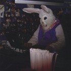 Picture for song 'Ricky' by artist 'the Solan Goose'