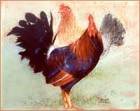 Picture for song 'Im So Cocky *Jerk BANGER!!!* FREE D/L' by artist 'The Third productions'